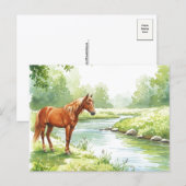 Horse River Peaceful Watercolor Nature Postcard Feestdagenkaart (Voorkant / Achterkant)