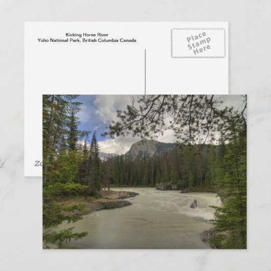 Horse rivier briefkaart (Voorkant / Achterkant)