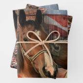 Horse Rustic Barn American Flag Inpakpapier Vel (In situ)