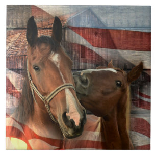 Horse Rustic Barn American Flag Tegeltje