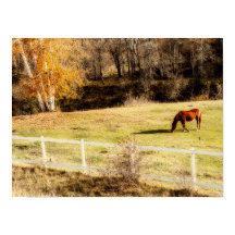 Horse Rustic Country Autumn Art