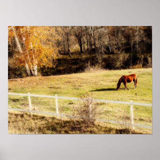 Horse Rustic Country Autumn Art Poster (Voorkant)