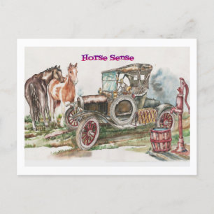 Horse Sense Briefkaart