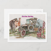 Horse Sense Briefkaart (Voorkant / Achterkant)