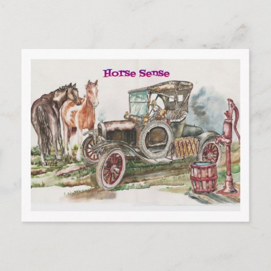 Horse Sense Briefkaart (Voorkant)