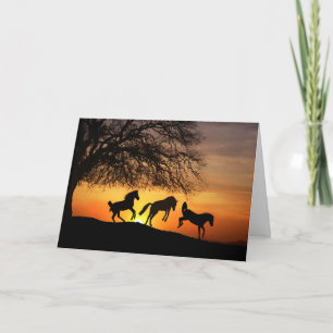 Horse Silhouette Birthday Fun Kaart
