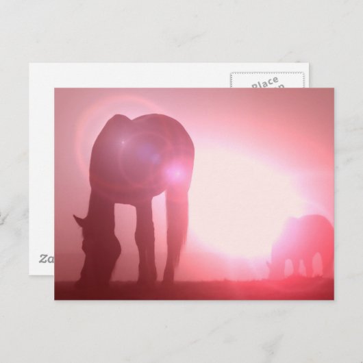Horse Silhouette Briefkaart (Voorkant / Achterkant)