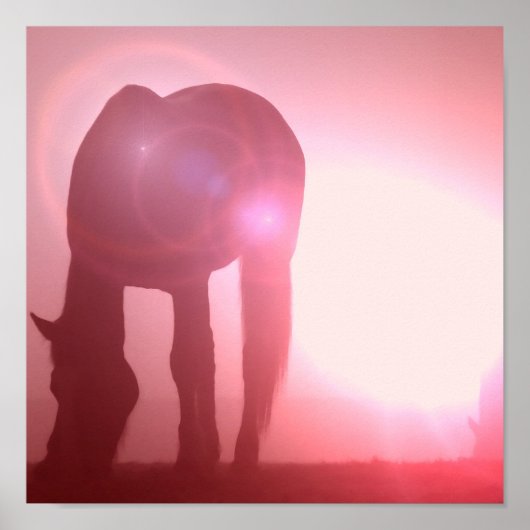 Horse Silhouette Poster Print (Voorkant)