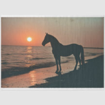 Horse Silhouette Sunset beroemd gemaakt door The O