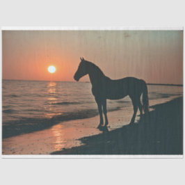 Horse Silhouette Sunset beroemd gemaakt door The O Tissuepapier
