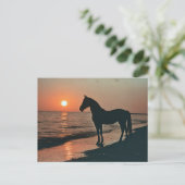 Horse Silhouette Zonsondergang bij de oceaan Briefkaart (Staand voorkant)