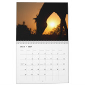 Horse Silhouettes Kalender (Mar 2027)