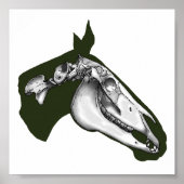 Horse Skeleton Poster (Voorkant)