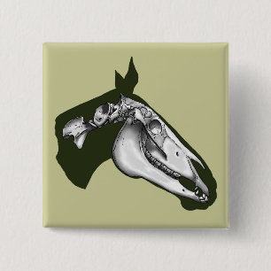 Horse Skeleton Vierkante Button 5,1 Cm