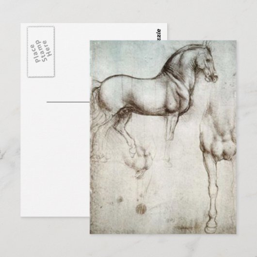 Horse Sketch Briefkaart (Voorkant / Achterkant)