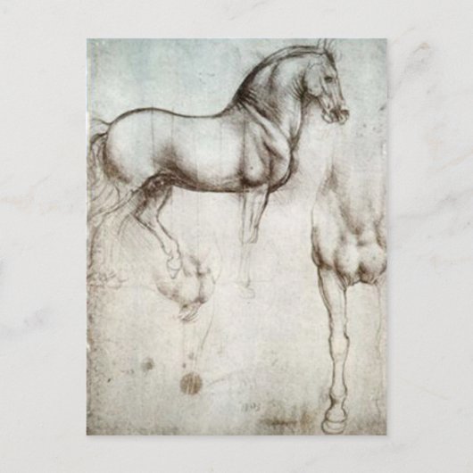 Horse Sketch Briefkaart (Voorkant)