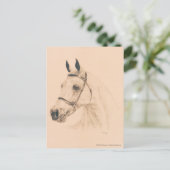 Horse Sketch van Susan Pelisek Kolberg Briefkaart (Staand voorkant)