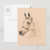 Horse Sketch van Susan Pelisek Kolberg Briefkaart (Voorkant / Achterkant)