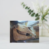 Horse Skull Briefkaart (Staand voorkant)