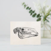 Horse Skull Skelet Aangepast skelet Briefkaart (Staand voorkant)