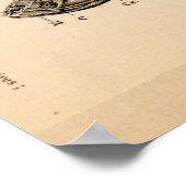 Horse Skull Teeth Anatomy French  Print (Hoek)