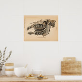 Horse Skull Teeth Anatomy French  Print (Keuken)