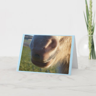 Horse smile Card Kaart