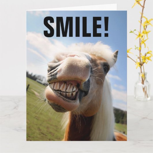 HORSE SMILING FUNNY BIRTHDAY WENSKAART KAART (Gele Bloem)