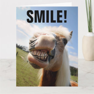 HORSE SMILING FUNNY BIRTHDAY WENSKAART KAART