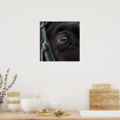 Horse Stallion Eye Foto Natuur Wall Poster (Keuken)