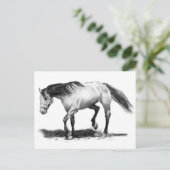 HORSE, STALLION, PENCIL ART REALISME BRIEFKAART (Staand voorkant)
