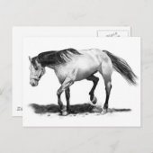 HORSE, STALLION, PENCIL ART REALISME BRIEFKAART (Voorkant / Achterkant)