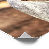 Horse Stallion Saddle Natuur Wall Poster (Hoek)