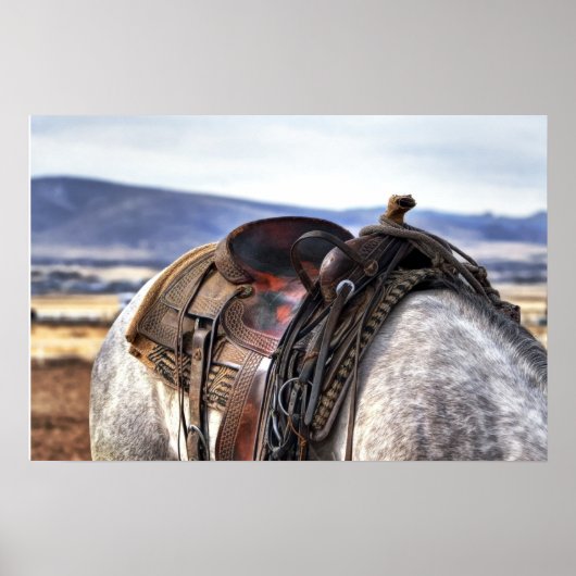 Horse Stallion Saddle Natuur Wall Poster (Voorkant)