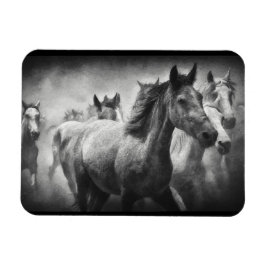 Horse Stampede Magnet Magneet