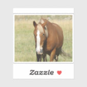 Horse Sticker (Vel)