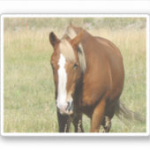 Horse Sticker (Voorkant)