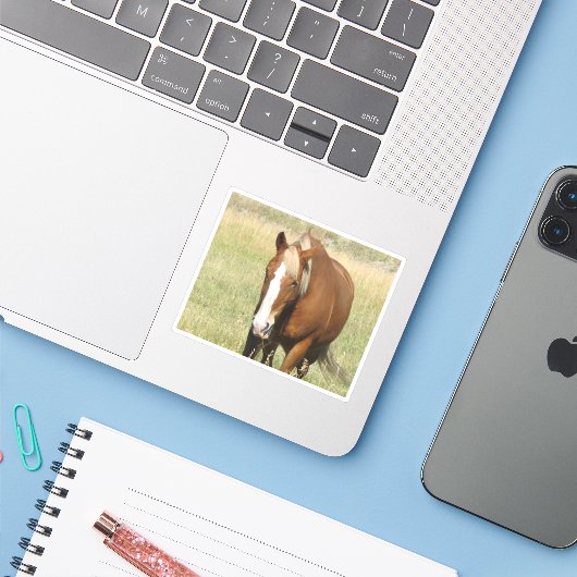 Horse Sticker (Laptop met iPhone)