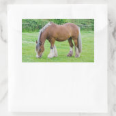 Horse stickers (Tas)