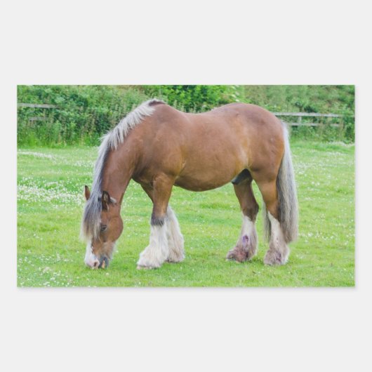 Horse stickers (Voorkant)
