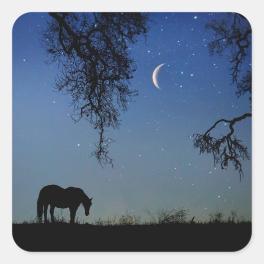 Horse Stickers Paarden en Crescent Moon Fantasy (Voorkant)