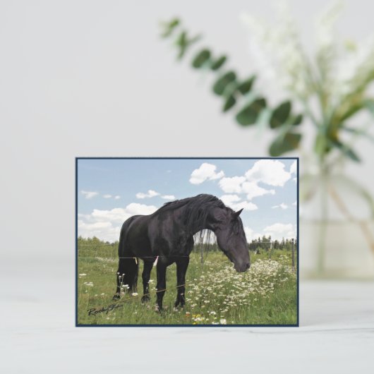 Horse Stretch Briefkaart (Staand voorkant)