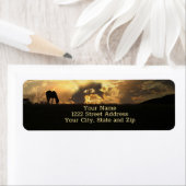 Horse Sunrise Mooie Natuur Etiket (Insitu)