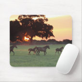 Horse Sunset Art Mousepad Muismat (Met muis)