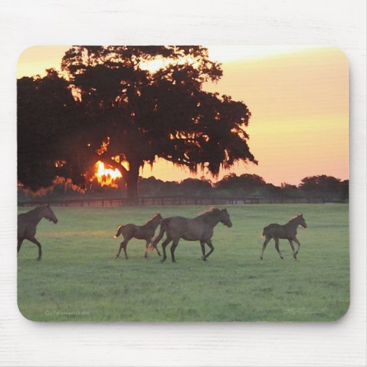Horse Sunset Art Mousepad Muismat (Voorkant)