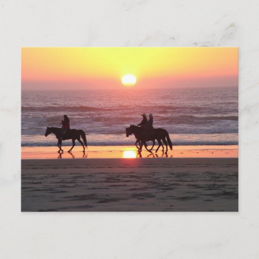 Horse Sunset Post Card Briefkaart (Voorkant)