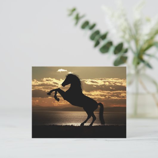 horse sunset silhouette briefkaart (Staand voorkant)