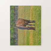  Horse Texas Pasture Boerderij Puzzel Legpuzzel (Verticaal)