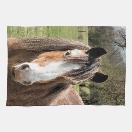 HORSE THEEDOEK (Horizontaal)