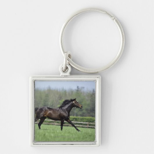 Horse Thoroughbreds, Wassl 1988, Sleutelhanger (Voorkant)